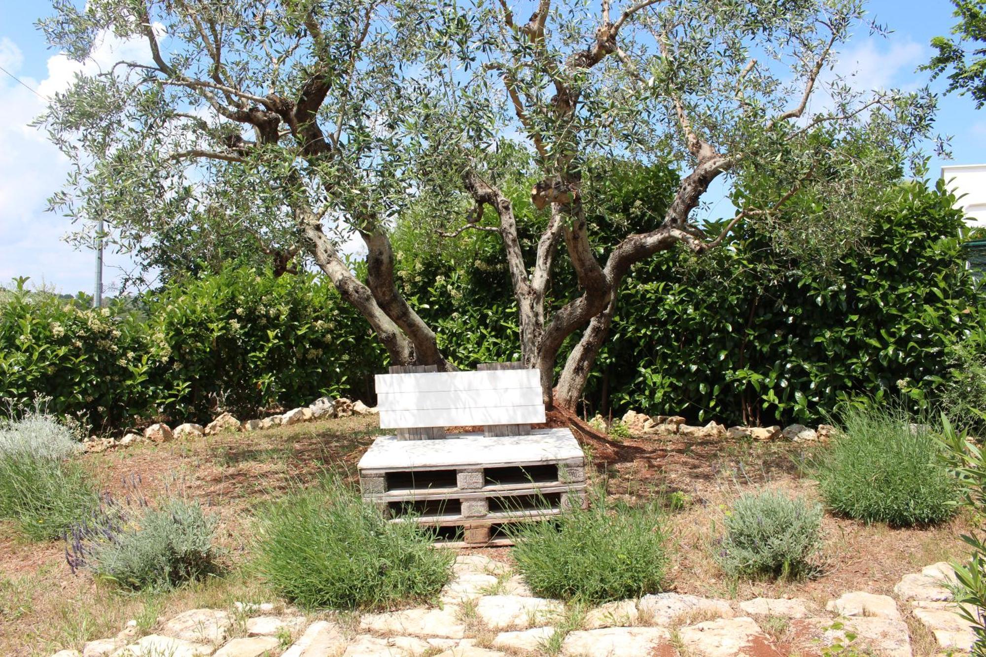 B&Bcasamali Selva Di Fasano Exterior photo